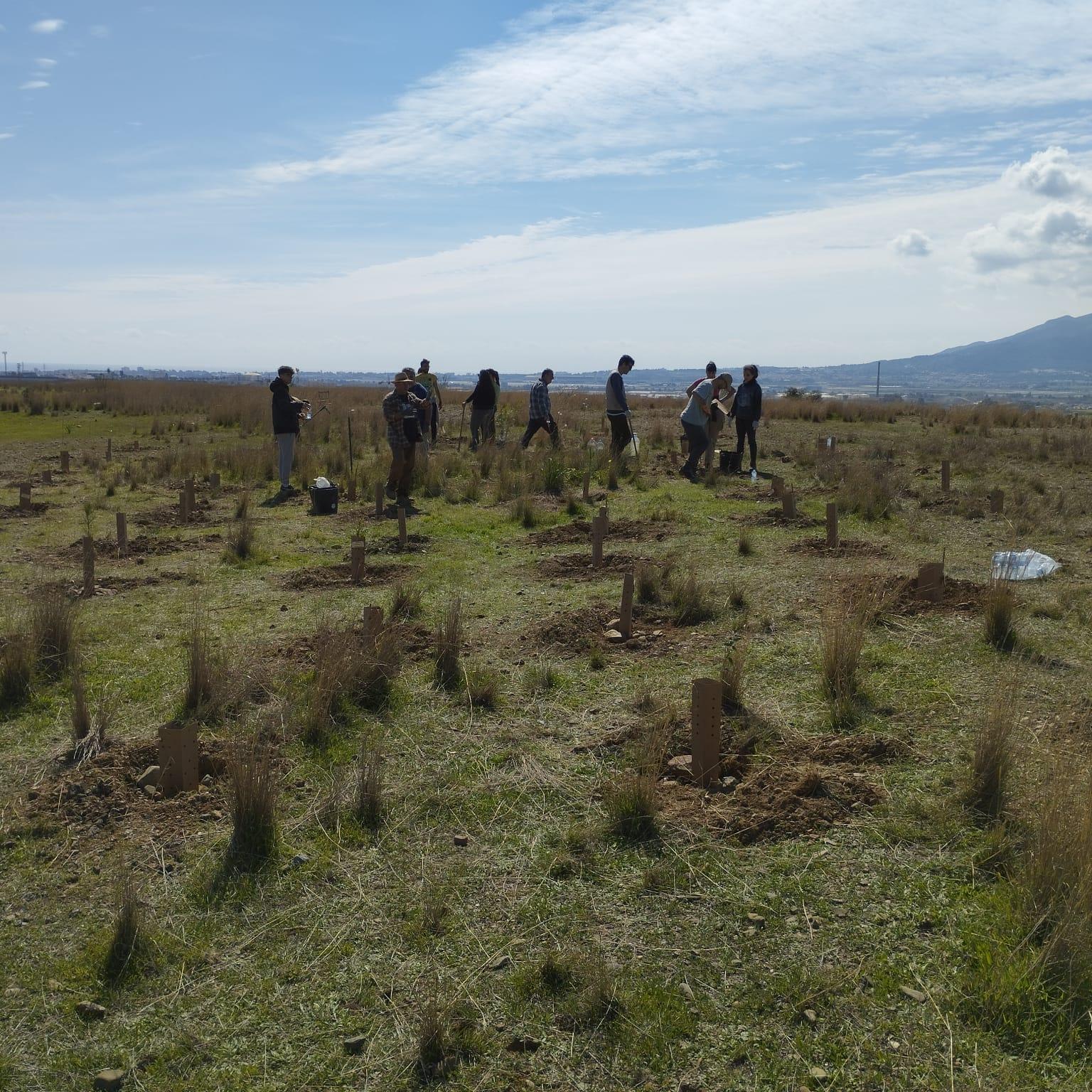 Reforestación Yamaha Málaga 2023