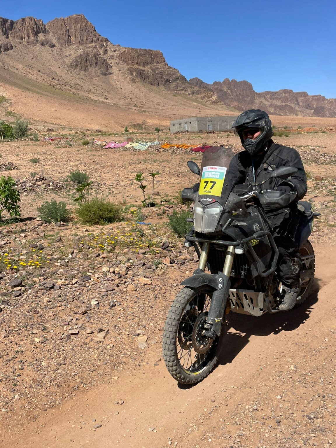Morocco Experience 2023