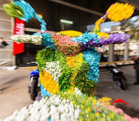 maratón fotográfico Diario Sur 2023