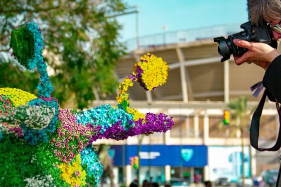 maratón fotográfico Diario Sur 2023