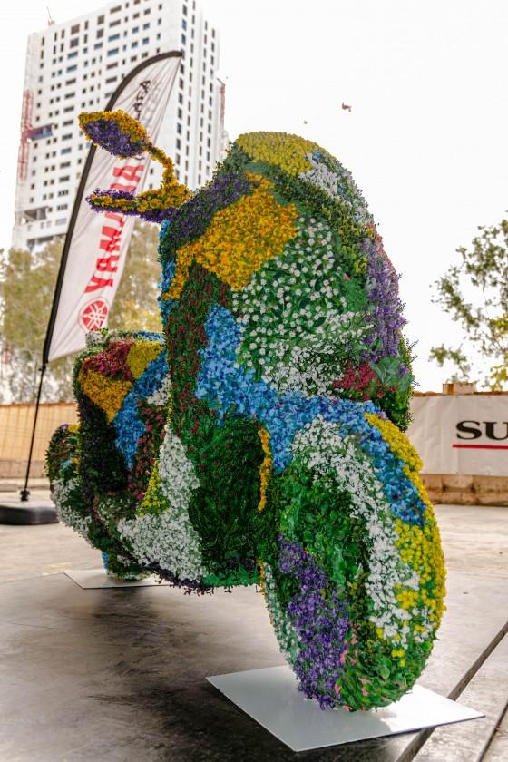 maratón fotográfico Diario Sur 2023