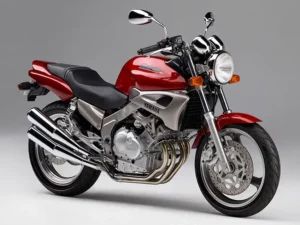 FZX 250 Zeal